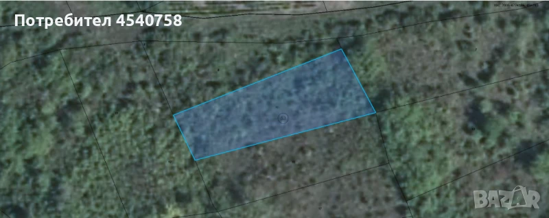 Лозя Ниви Ливада Трайни насаждения, снимка 1