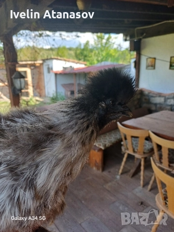 Двойка копринки., снимка 7 - други­ - 51798577