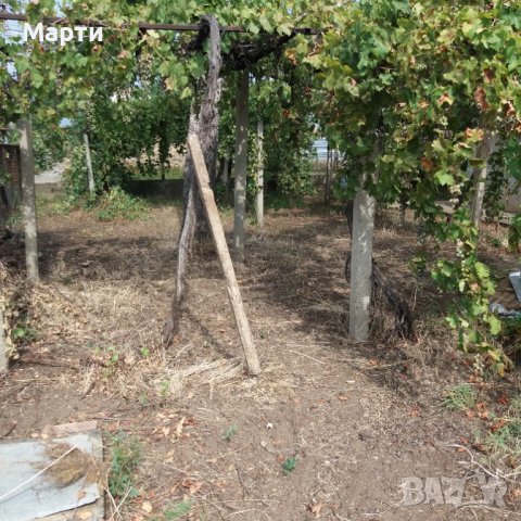 Дворно място под наем, снимка 6 - Други - 37745217