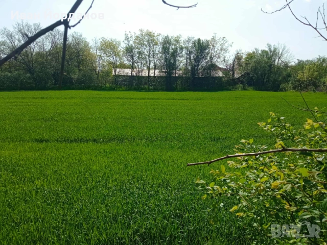 Имот в регулация в с. Бутан, общ. Козлодуй.