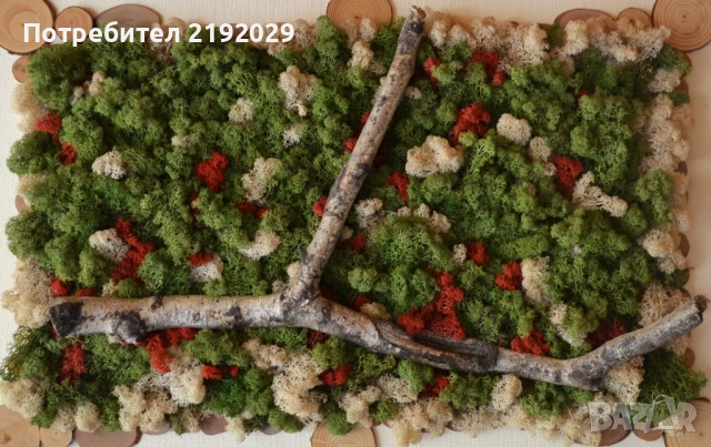 ДЕКОРАТИВНА СТЕНА  с дървени орнаменти и скандинавски мъх, снимка 4 - Други - 51512112