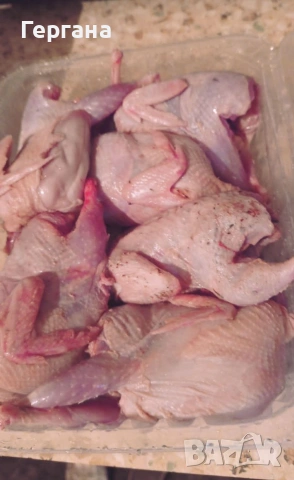 Пъдпъдъци в тарелка 1 кг