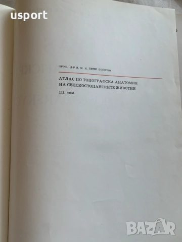 Атлас по топографска анатомия на селскостопанските животни. Том 3, снимка 2 - Специализирана литература - 55961264