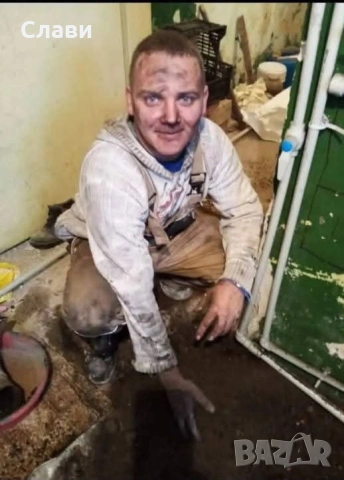 Рязане и кастрене на опасни дървета, снимка 2 - Други почистващи услуги - 53287760