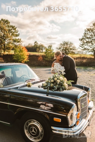 Ретро автомобил поднаем , снимка 3 - Транспорт под наем - 54061572