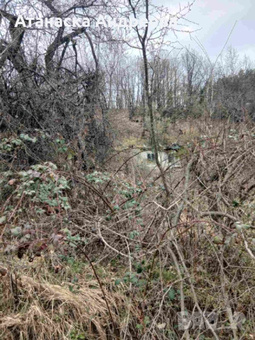 Къща с двор/1025м²/ в село Розово