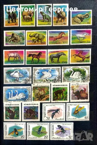 Животни 122 бр.