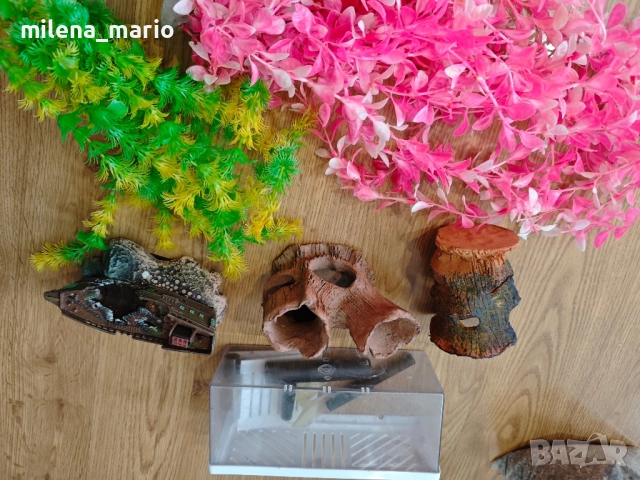 за аквариум...