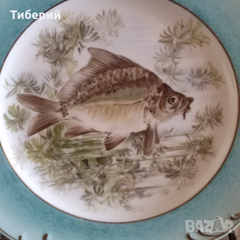 Порцеланови чинии за стена Rosenthal, снимка 9 - Други - 52231111