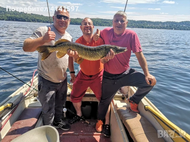 Jackson 90г 22см, снимка 3 - Такъми - 50731142