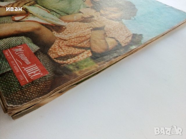Списание "Жената Днес" - 1956г., снимка 8 - Списания и комикси - 38844459