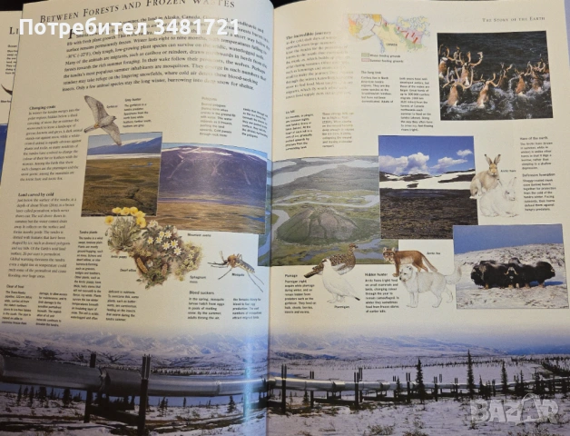 Reader's Digest Illustrated Atlas of the World, снимка 8 - Енциклопедии, справочници - 53251742