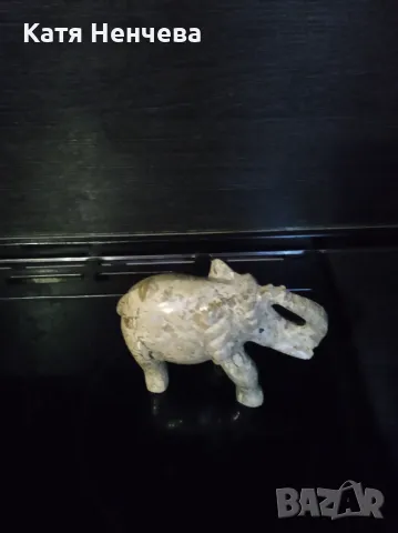 Декоративно слонче