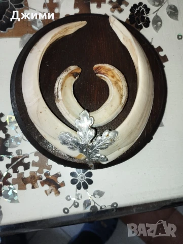 зъби от глиган, снимка 1