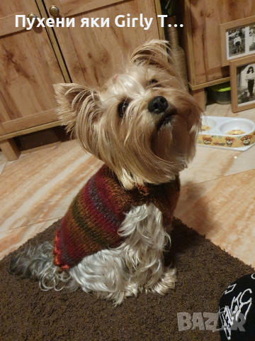 Плетена дрешка за куче М размер Различни цветове , снимка 15 - За кучета - 44343726