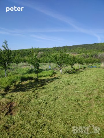 Овощна градина , снимка 10 - Земеделска земя - 38065060