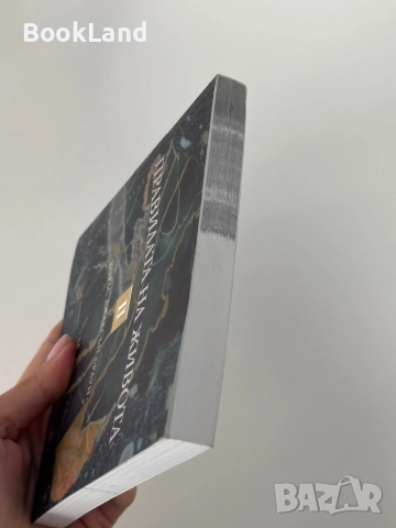 Правилата на живота| Втора част| Кибеа , снимка 4 - Други - 51846713