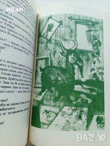 Аничка,Дребосъчето и Сламения Хуберт - В.Незвал - 1981г., снимка 4 - Детски книжки - 36936132