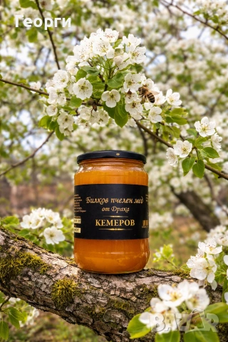 Билков пчелен мед