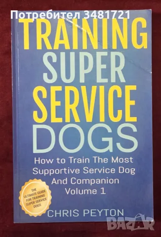 Training Super Service Dogs. How To Train The Most Supportive Service Dog And Companion
