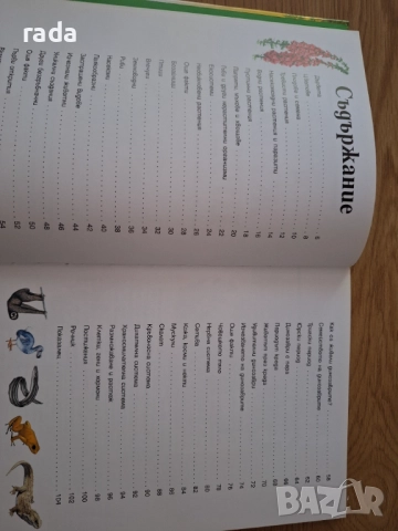 Живата природа,  детска енциклопедия , снимка 2 - Детски книжки - 51473683