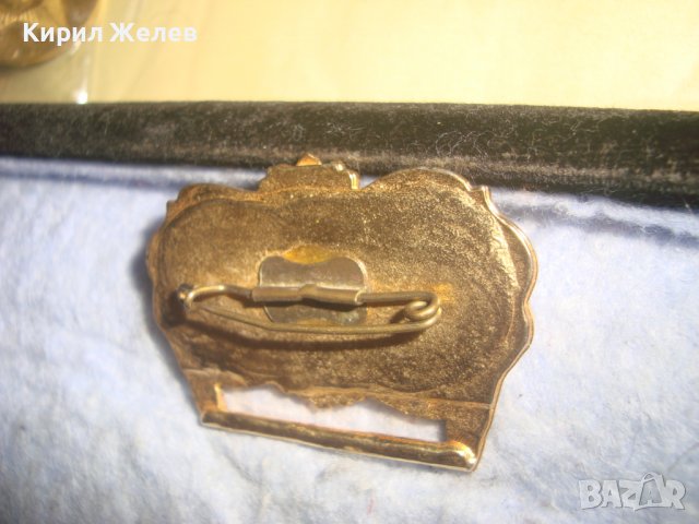 1977г. Хесен ПОЗЛАТЕН БРОНЗОВ НОСАЧ за РЯДЪК КОЛЕКЦИОНЕРСКИ НЕМСКИ МЕДАЛ 30659, снимка 4 - Антикварни и старинни предмети - 37954942