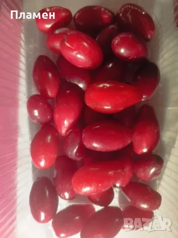Дренки-много едър дрян, снимка 3 - Домашни продукти - 55739235