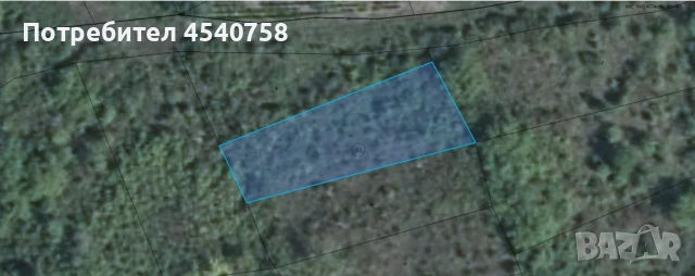 Лозя Ниви Ливада Трайни насаждения, снимка 1