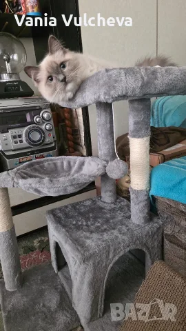 Котешка катерушка с драскалка на 4 нива,с играчка,несглобена,нова,в неразпечатан кашон., снимка 5 - За котки - 55804439