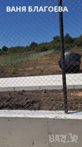 Давам място под наем в с.Голяновци , снимка 8 - Парцели - 50969805