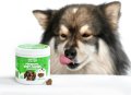 Nutripooch пробиотици за кучета - 120 дъвки, имунитет на червата, облекчаване сърбежа при алергии, снимка 2