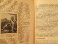 Николай Райнов -Модерно изкуство-в царството на колорита, снимка 9