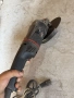 Wurth EWS 24-230-S Ъглошлайф 230мм, снимка 4