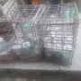 метални каси щайги  за буркани от социализма.  Събират по девет буркана тип омния. Имам налични 4 бр, снимка 4