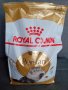 Суха котешка храна за персийски котки Royal Canin Persian Adult 4 кг
