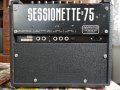 Кубе за китара Session Sessionette 75, снимка 3