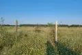 Земеделска земя 10 дка, снимка 1