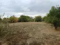 Къща с двор в село Зимница, снимка 5