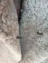 винтидж вълнено палто, снимка 4