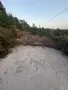 Парцел село елешница 600кв , снимка 2