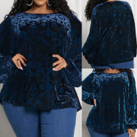Приказна модерна еластична блуза кадифе, полупрозрачна - изключително мека и комфортна, снимка 1 - Блузи с дълъг ръкав и пуловери - 44737685
