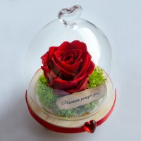 Вечна ЕСТЕСТВЕНА роза в Стъкленица / Интересен Подарък за Приятелка / Подарък за Годишнина, снимка 1 - Декорация за дома - 30923346