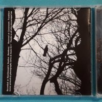 Lillith – Survive The Cold Eternity(Modern Classical,Ambient), снимка 4 - CD дискове - 42767626