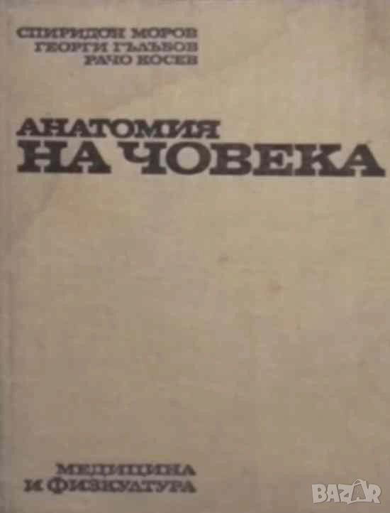 Анатомия на човека Георги Гълъбов, Спиридон Моров, Рачо Косев, снимка 1