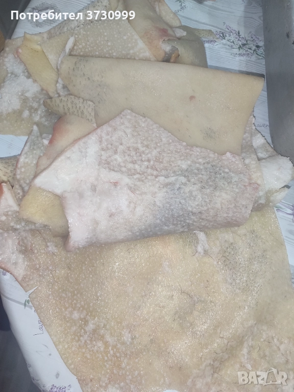 Прясна свинска кожа , снимка 1