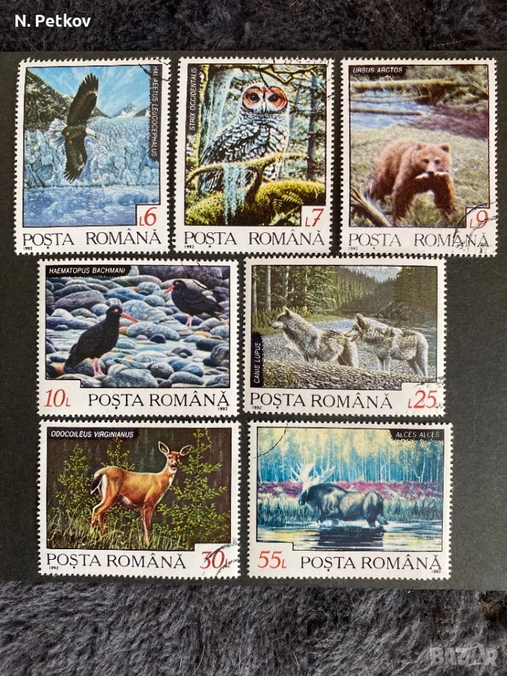 Румъния, Горски животни, снимка 1
