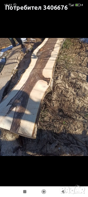 Големи орехови янове , снимка 1