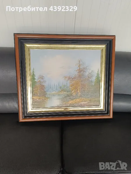 картина с пейзаж ПЛАТНО!, снимка 1