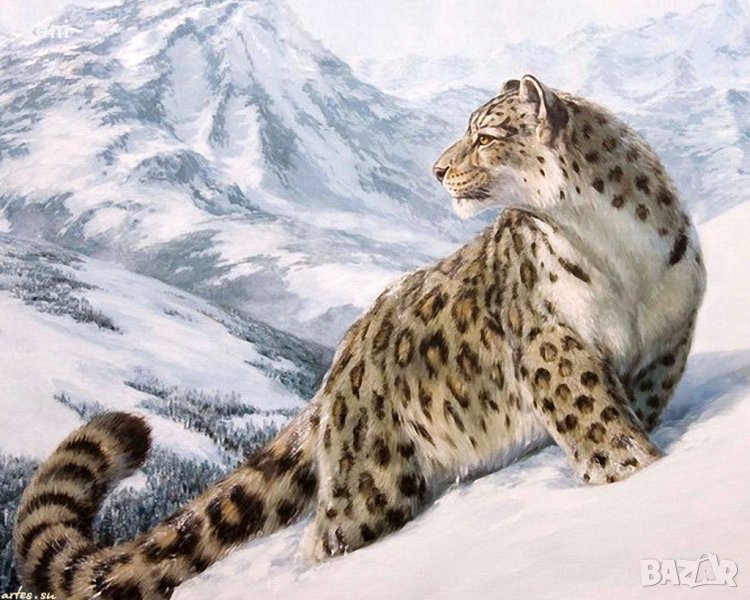 Диамантен гоблен ,снежен леопард -30/40см. 29 цвята 28.лв, снимка 1