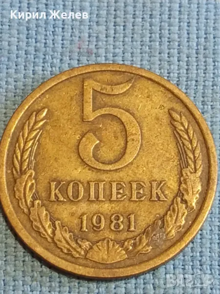 Стара монета 5 копейки 1981г. СССР рядка за КОЛЕКЦИЯ ДЕКОРАЦИЯ 39491, снимка 1